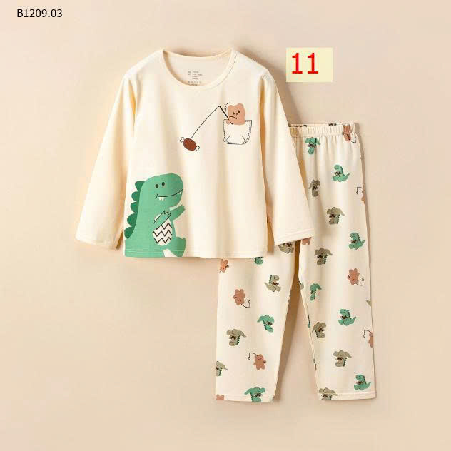 MẪU 11