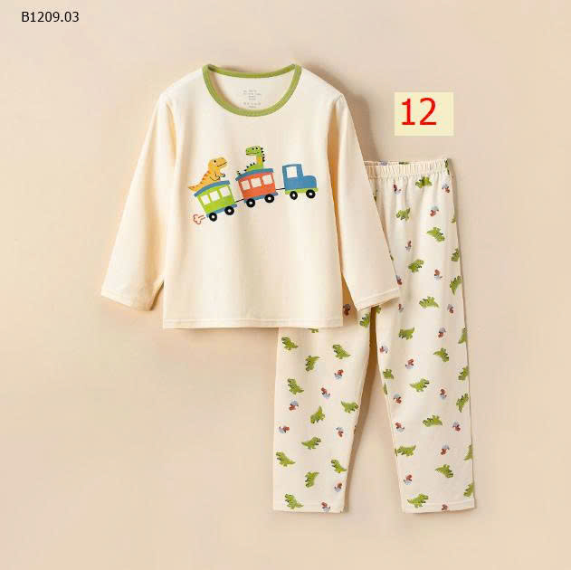 MẪU 12