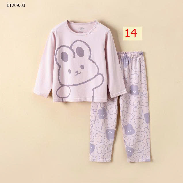 MẪU 14