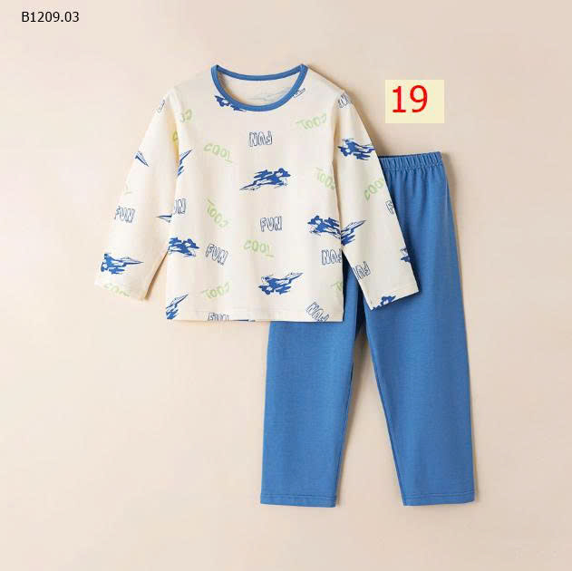 MẪU 19