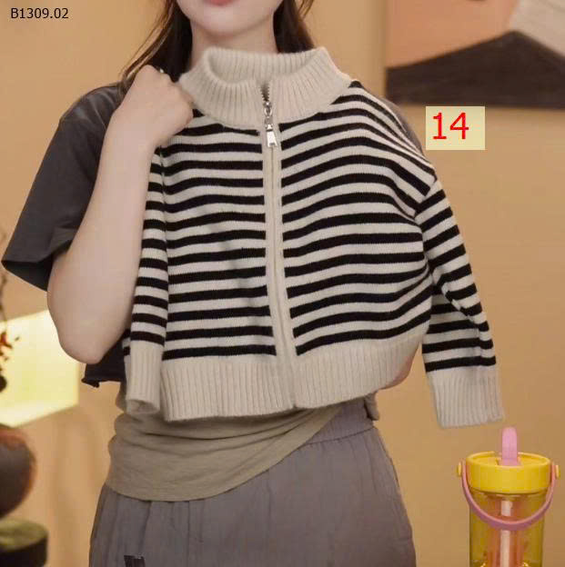MẪU 14
