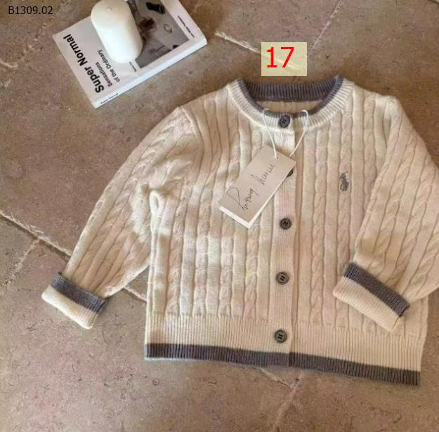 MẪU 17