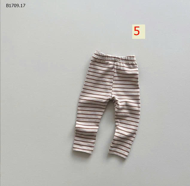 MẪU 5