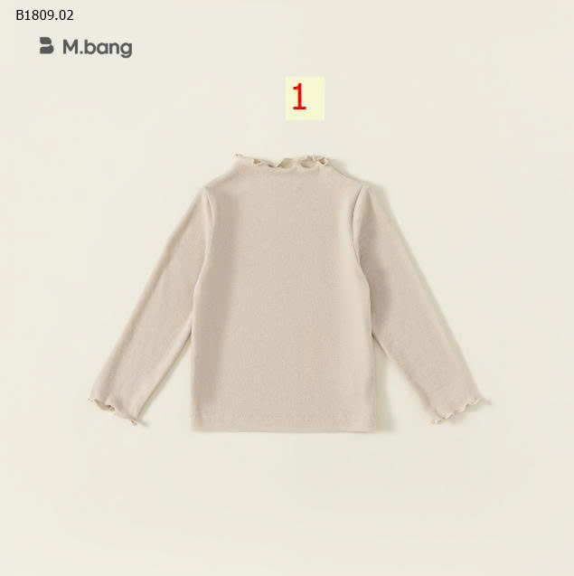 MẪU 1