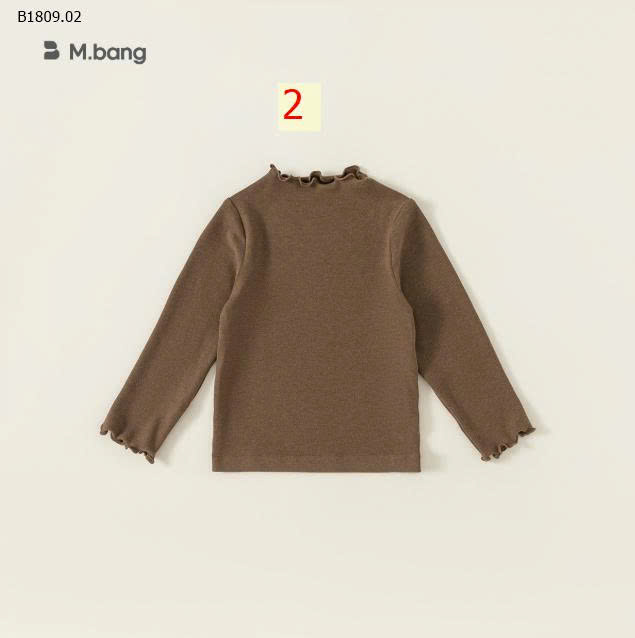 MẪU 2