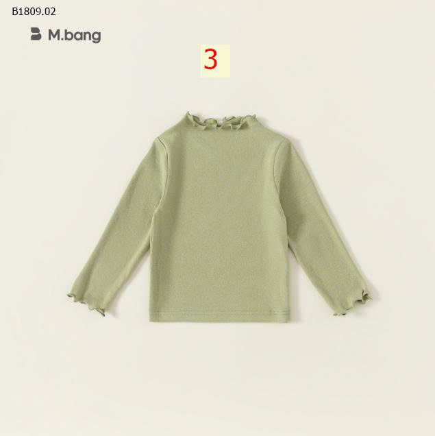 MẪU 3