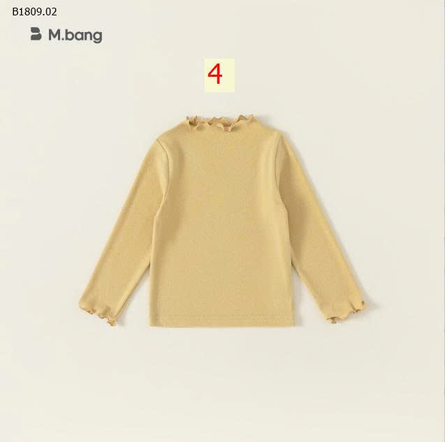 MẪU 4