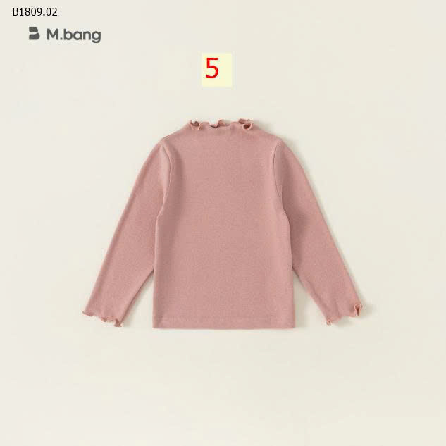 MẪU 5