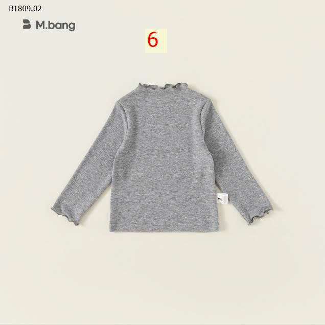 MẪU 6
