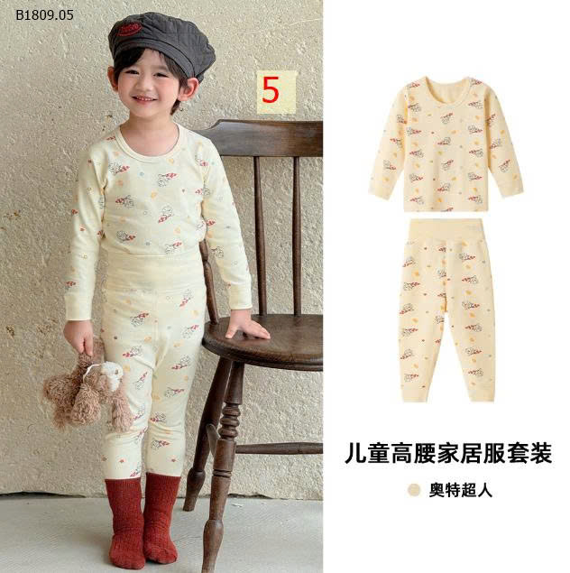 MẪU 5