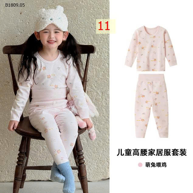 MẪU 11