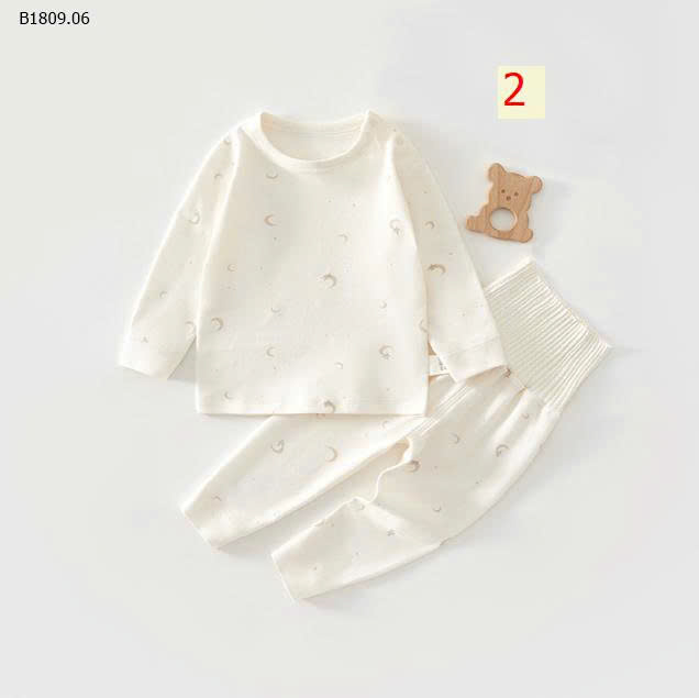 MẪU 2