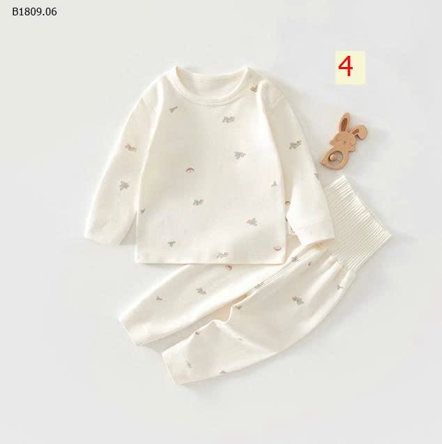 MẪU 4