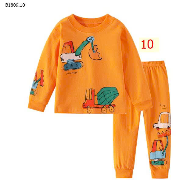 MẪU 10