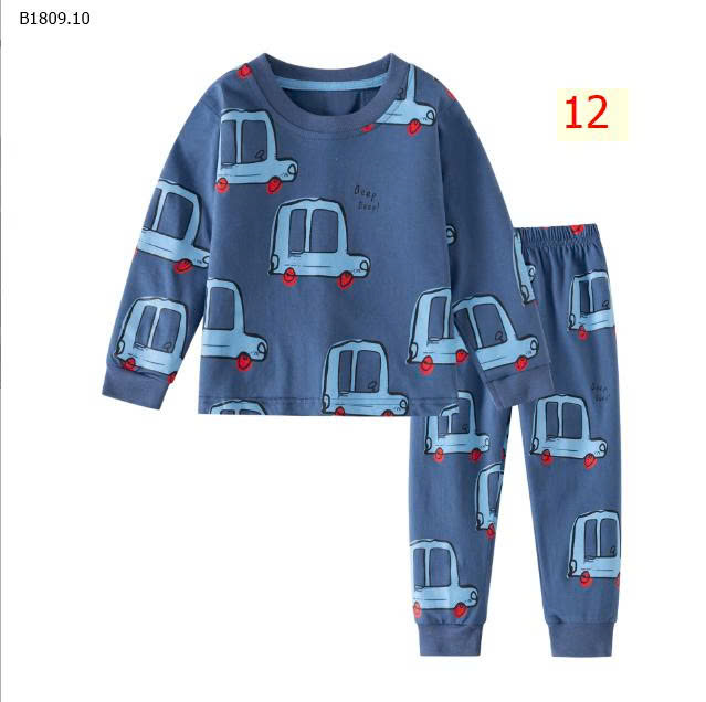 MẪU 12