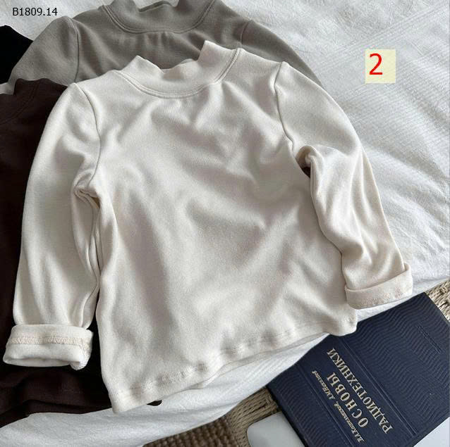 MẪU 2