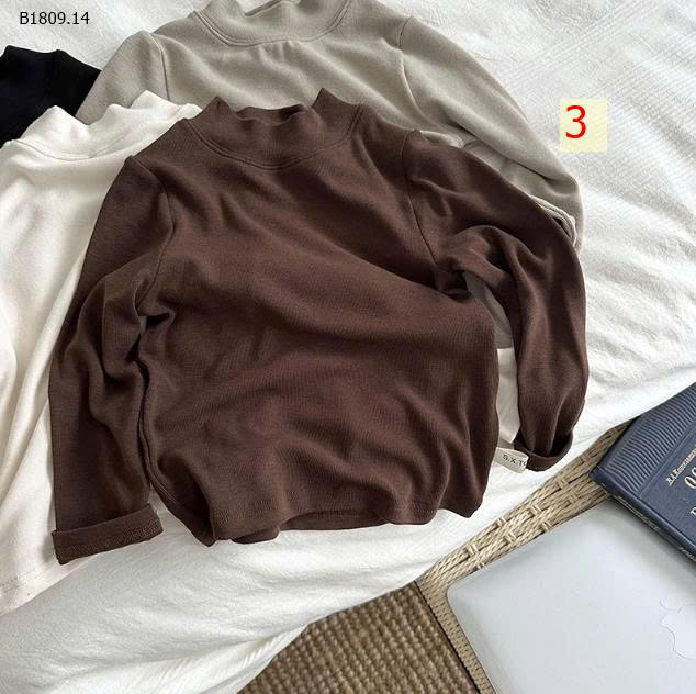 MẪU 3