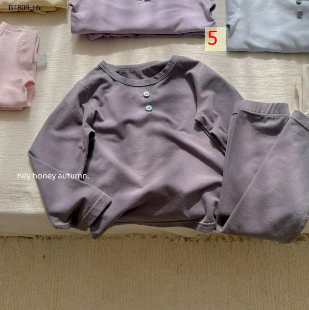 MẪU 5