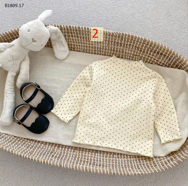MẪU 2