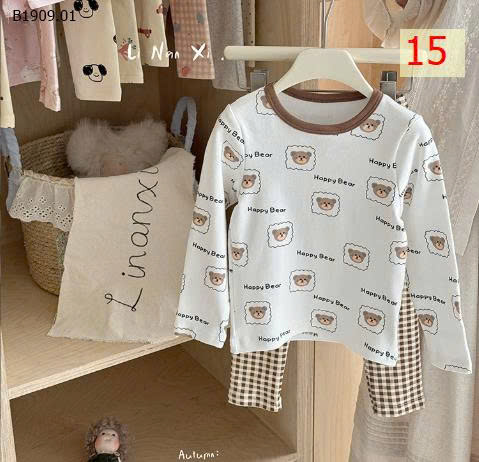 MẪU 15