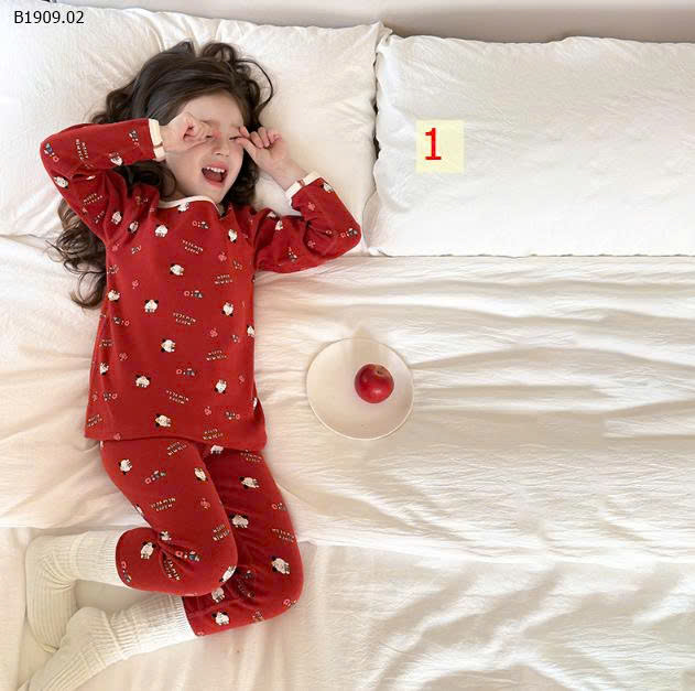 MẪU 1