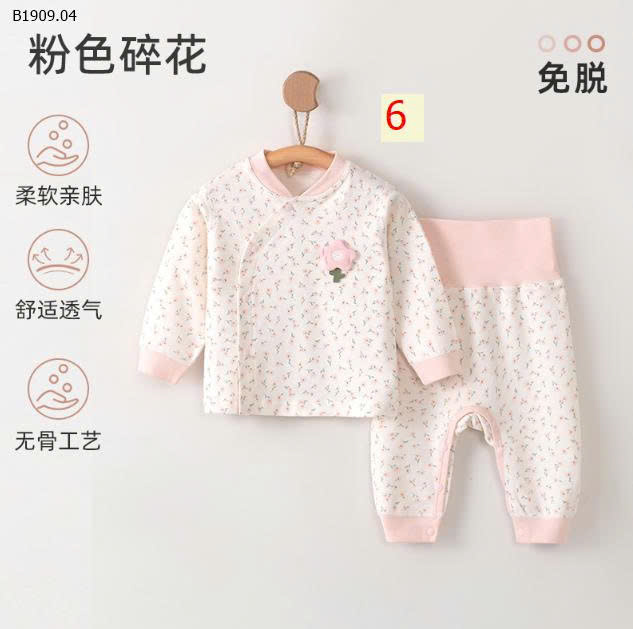 MẪU 6