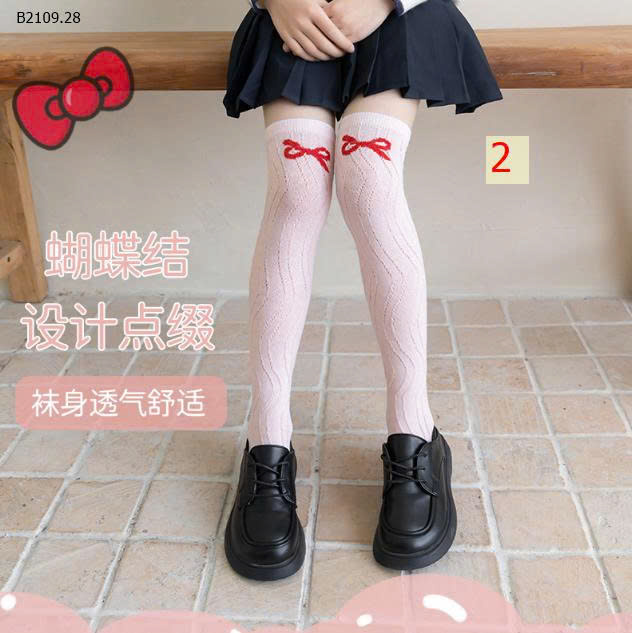 MẪU 2