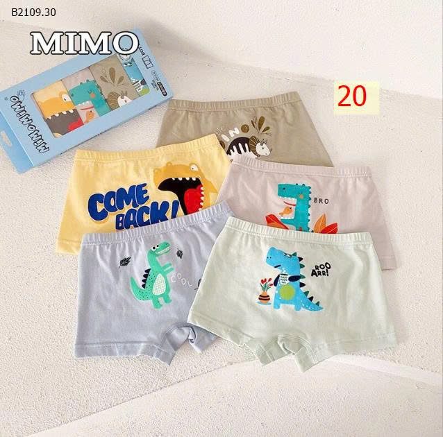 MẪU 20