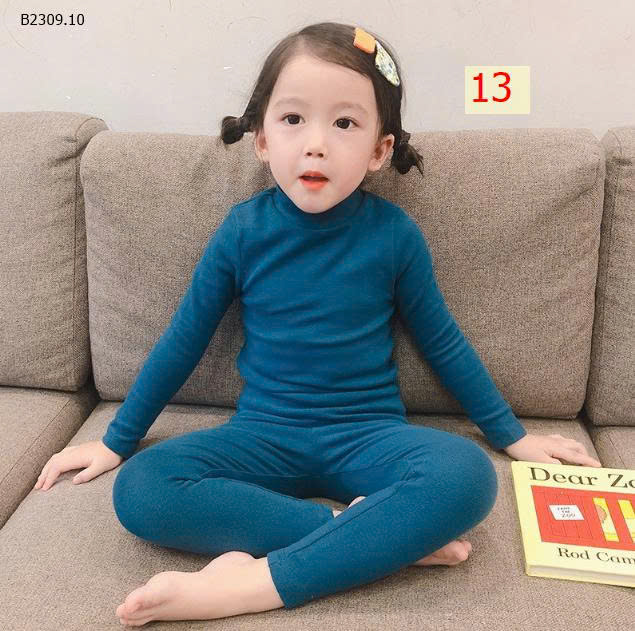 MẪU 13