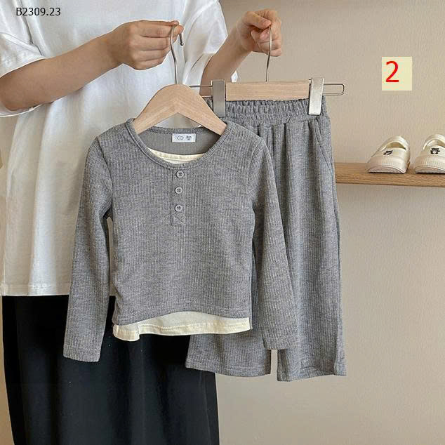 MẪU 2