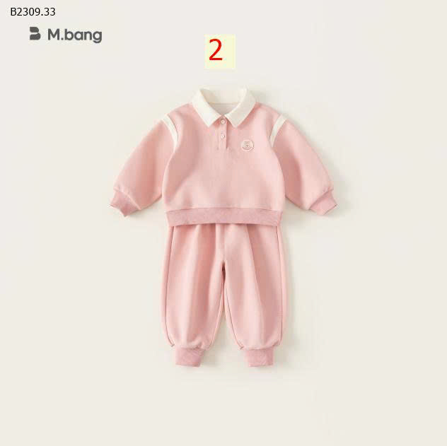 MẪU 2