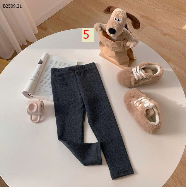 MẪU 5