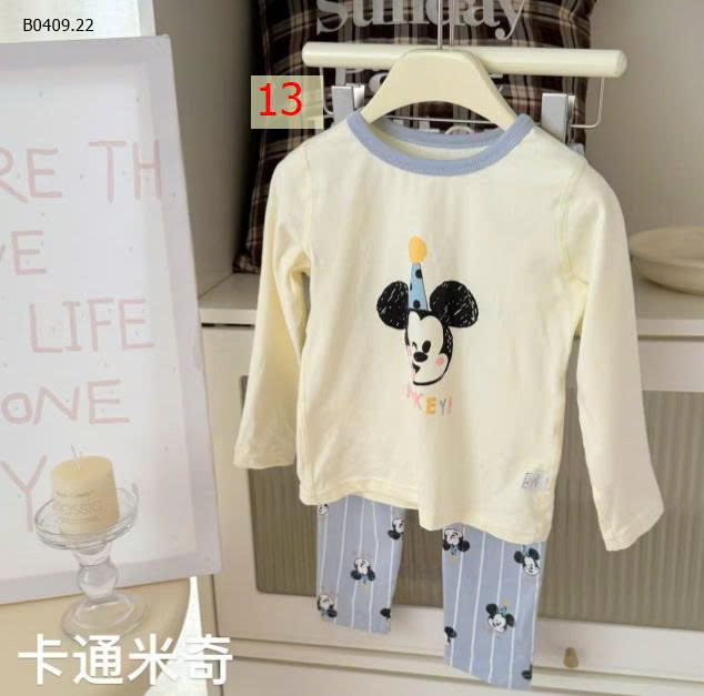 MẪU 13