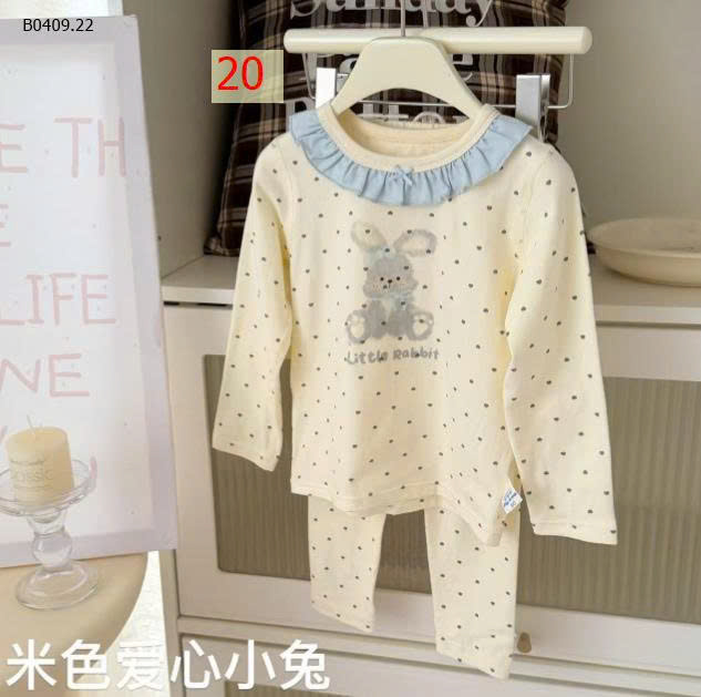 MẪU 20
