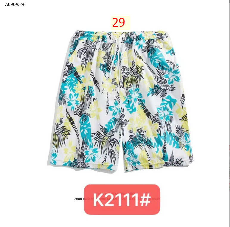 MẪU 29