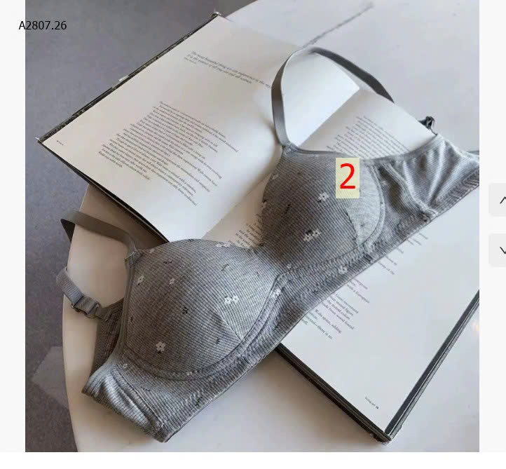 MẪU 2