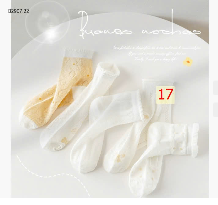 MẪU 17