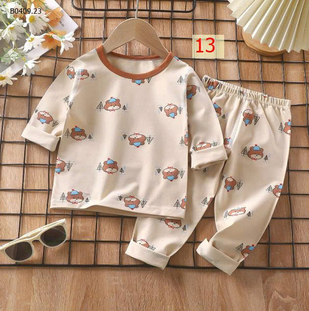 MẪU 13