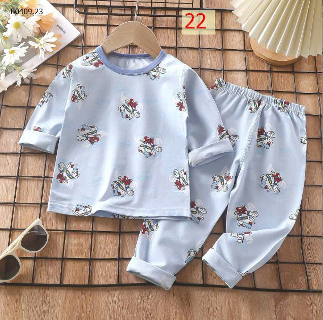 MẪU 22