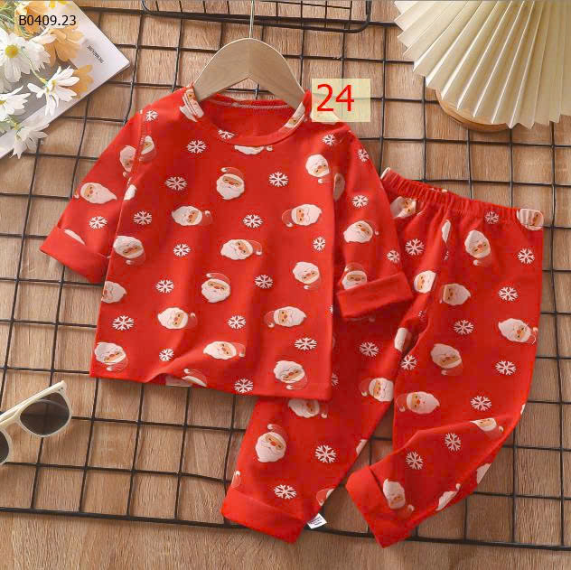 MẪU 24