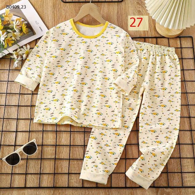 MẪU 27