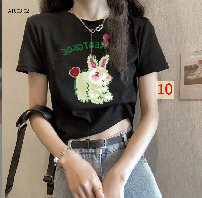 ÁO PHÔNG CROPTOP sỉ 94k