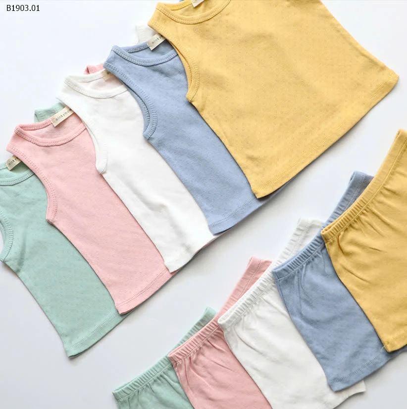 BỘ COTTON THÔNG HƠI -sỉ 100k