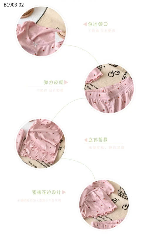 BỘ THUN COTTON HOA NHÍ BG QCCC-sỉ 100-120 : 116K 130-150 : 137K 160-170 : 158K