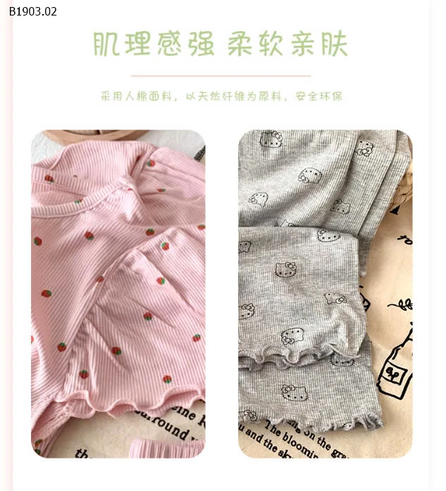 BỘ THUN COTTON HOA NHÍ BG QCCC-sỉ 100-120 : 116K 130-150 : 137K 160-170 : 158K
