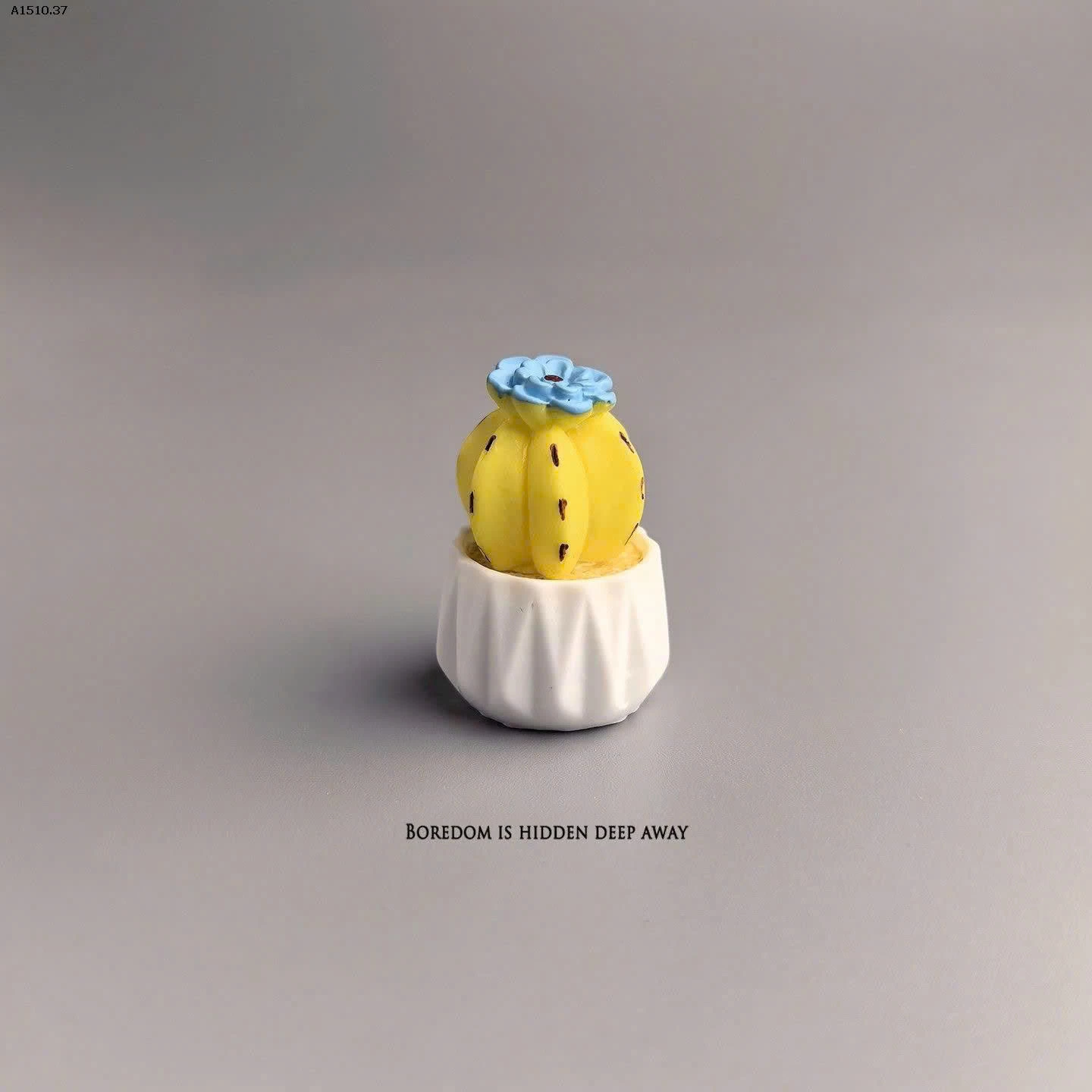 SET 5 CÂY XƯƠNG RỒNG DECORE  - sỉ 46k/set