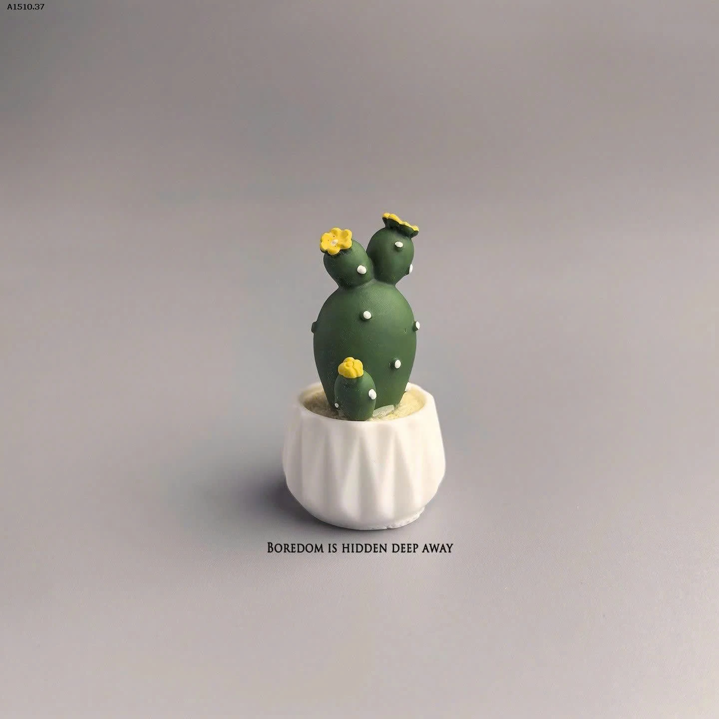 SET 5 CÂY XƯƠNG RỒNG DECORE  - sỉ 46k/set