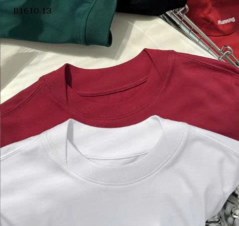 ÁO THUN CỔ TRÒN PAINTER-Giá sỉ 155k