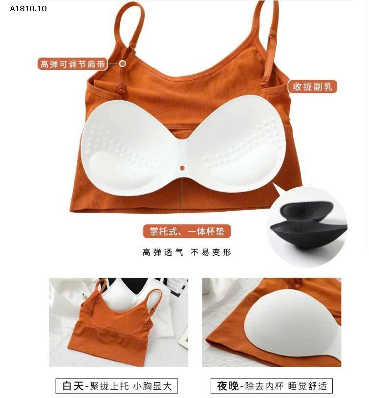 ÁO HAI DÂY LÓT ĐỆM NGỰC - Giá sỉ 80k/ 2c chọn màu