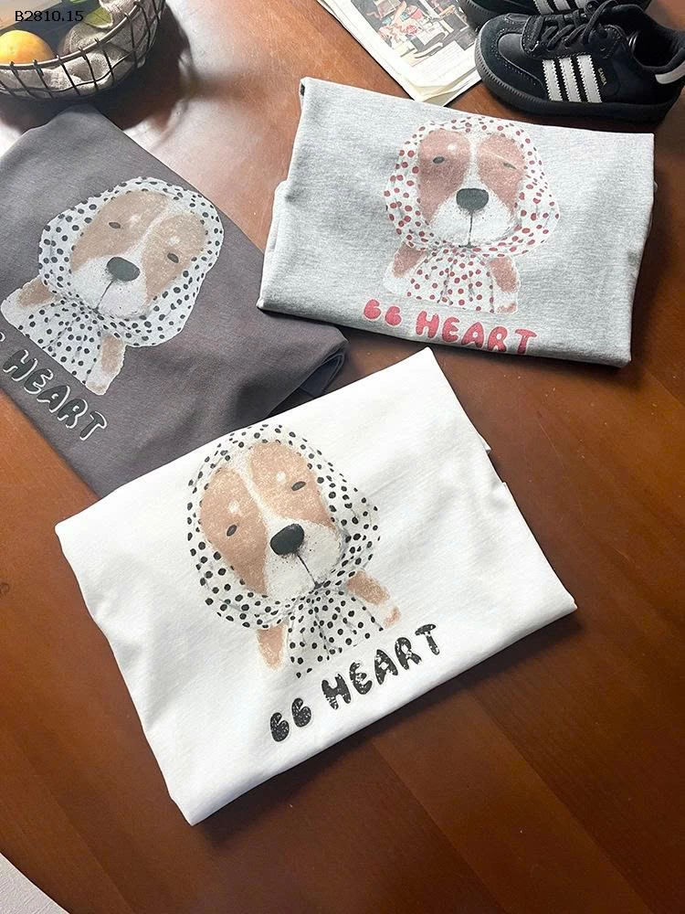 ÁO THUN DÀI TAY BG AMBB -Giá sỉ sz 90-150: 127k sz 160: 139k sz 170: 153k